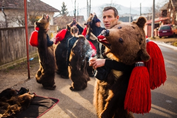 Bear Dance - Tom Bourdon Photography