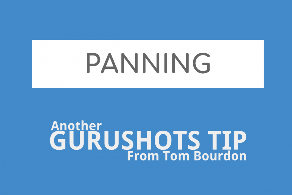 Gurushots Tips – Panning