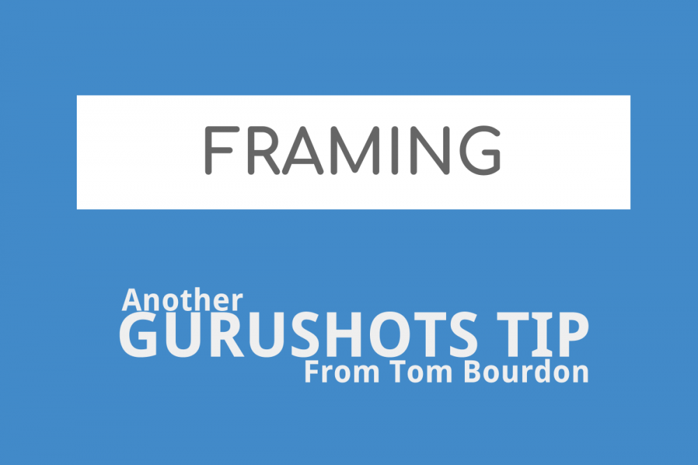 Gurushots Tips – How To Use Framing