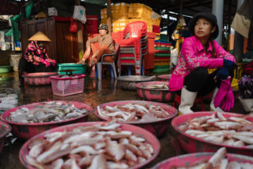 Women Selling Fish at a Local Market - Tom Bourdon Travel Photography