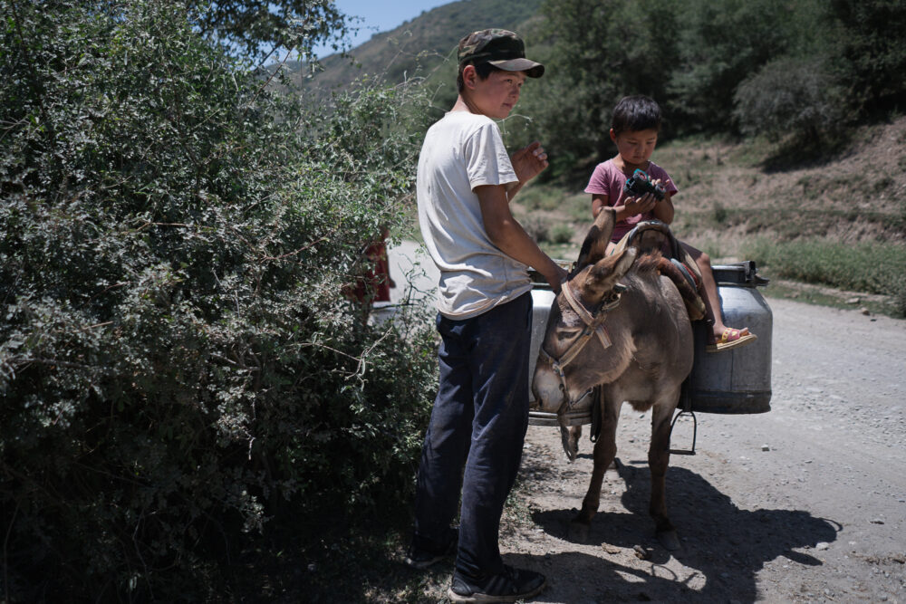 A child sits on a donkey while his brother looks on.