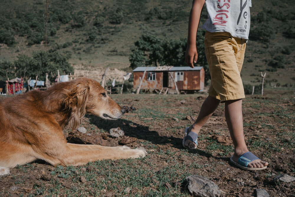 A quiet moment between a boy and his dog outside the family home.