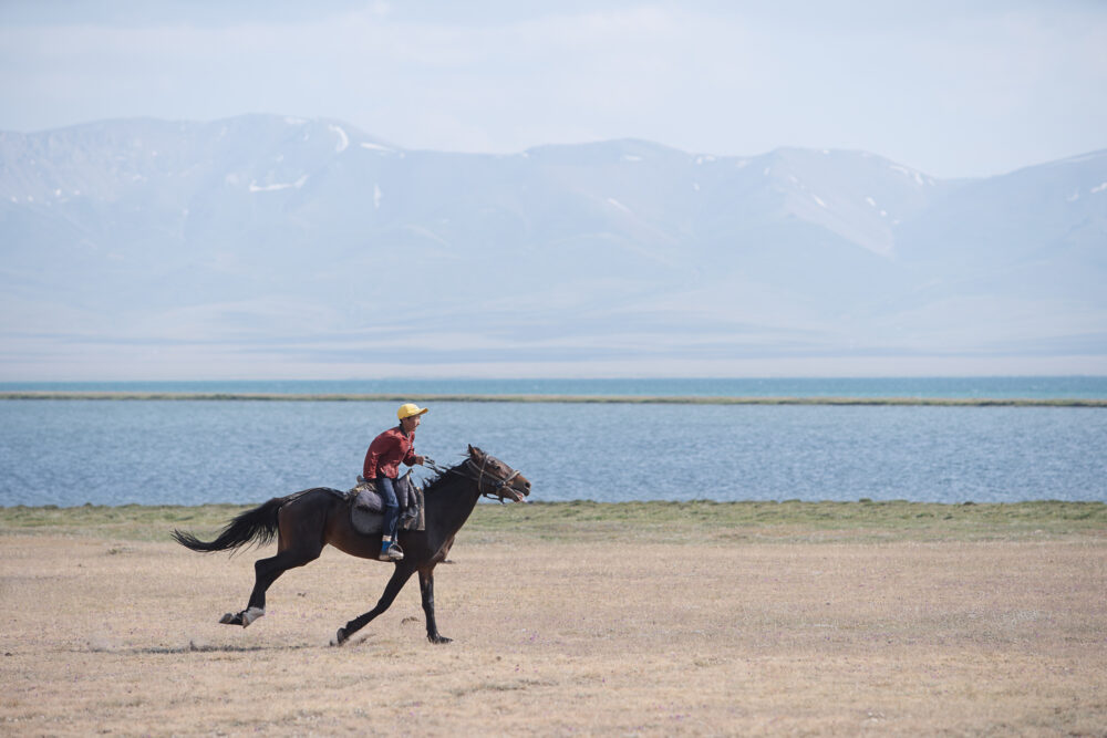 A lone rider gallops along the shore.